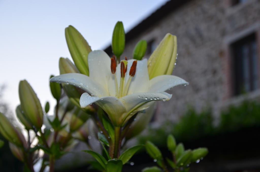 Vila Agriturismo D' Epoca La Marianella Catabbio Exteriér fotografie